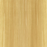 KEVIN.MURPHY COLOR 10.03/10NG- PLATINUM.NATURAL.GOLD 2 Fl. Oz.