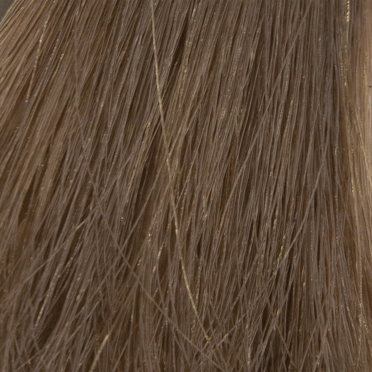 Milbon Demi Color 6BEG (6/83) 2 Fl. Oz.