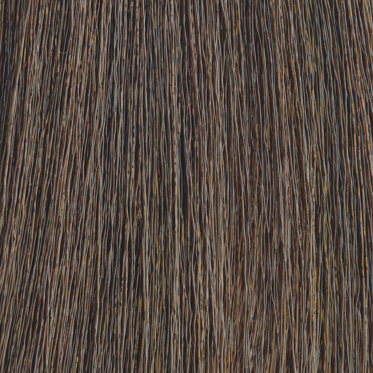 MOROCCANOIL Gloss 6.0/6N- Dark Blonde 2 Fl. Oz.