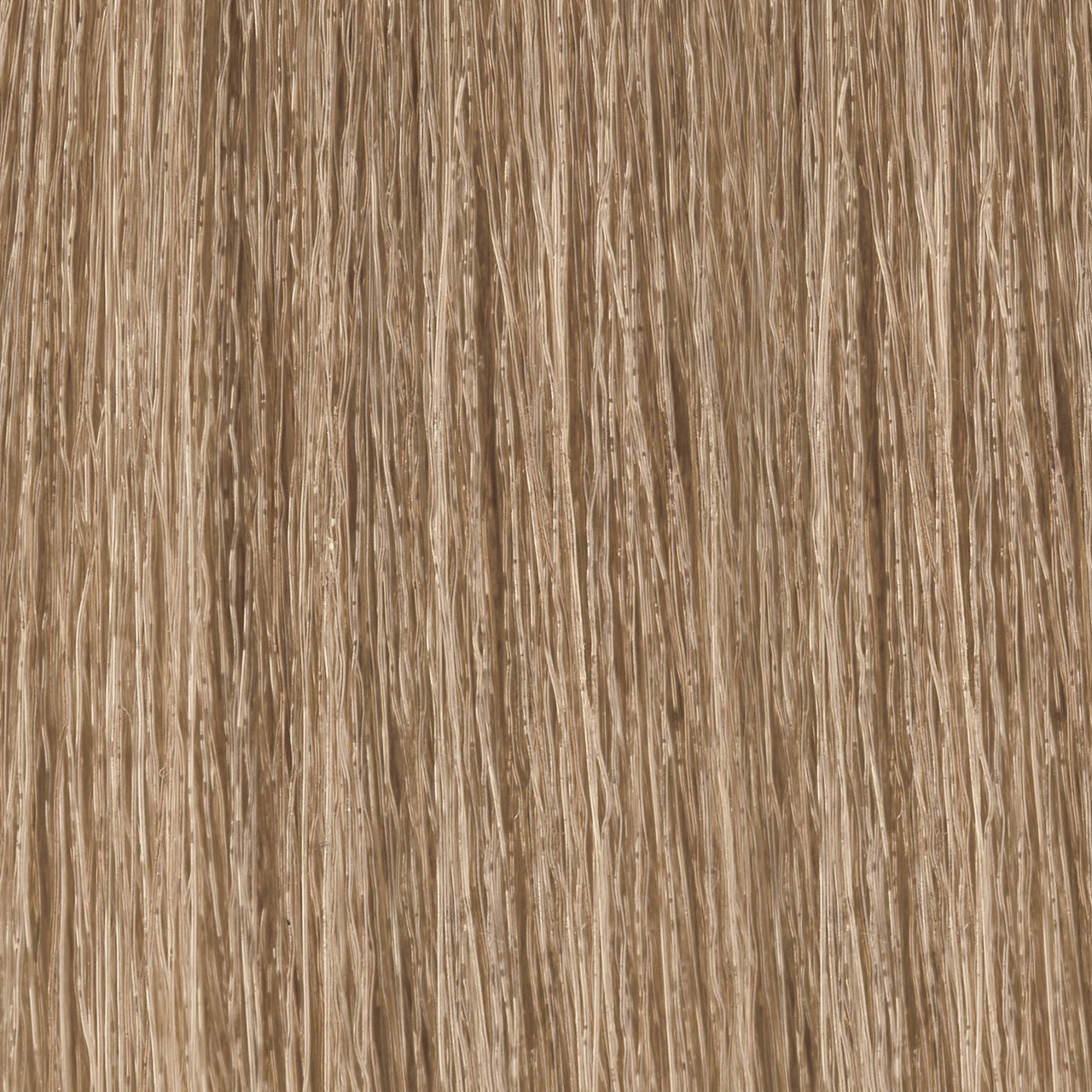 MOROCCANOIL Gloss 8.0/8N- Light Blonde 2 Fl. Oz.