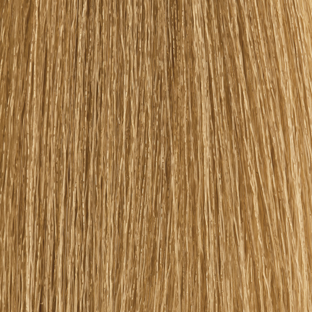 MOROCCANOIL 7.3/7G- Medium Golden Blonde 2 Fl. Oz.