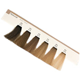 Milbon SOPHISTONE Demi New Shade Insert