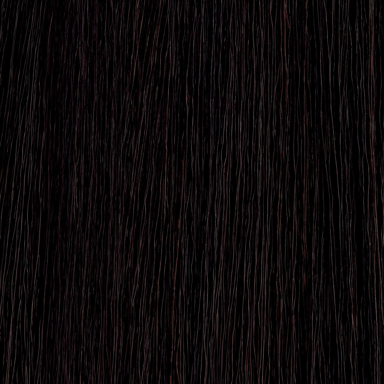 MOROCCANOIL 3.0/3N- Dark Brown 2 Fl. Oz.