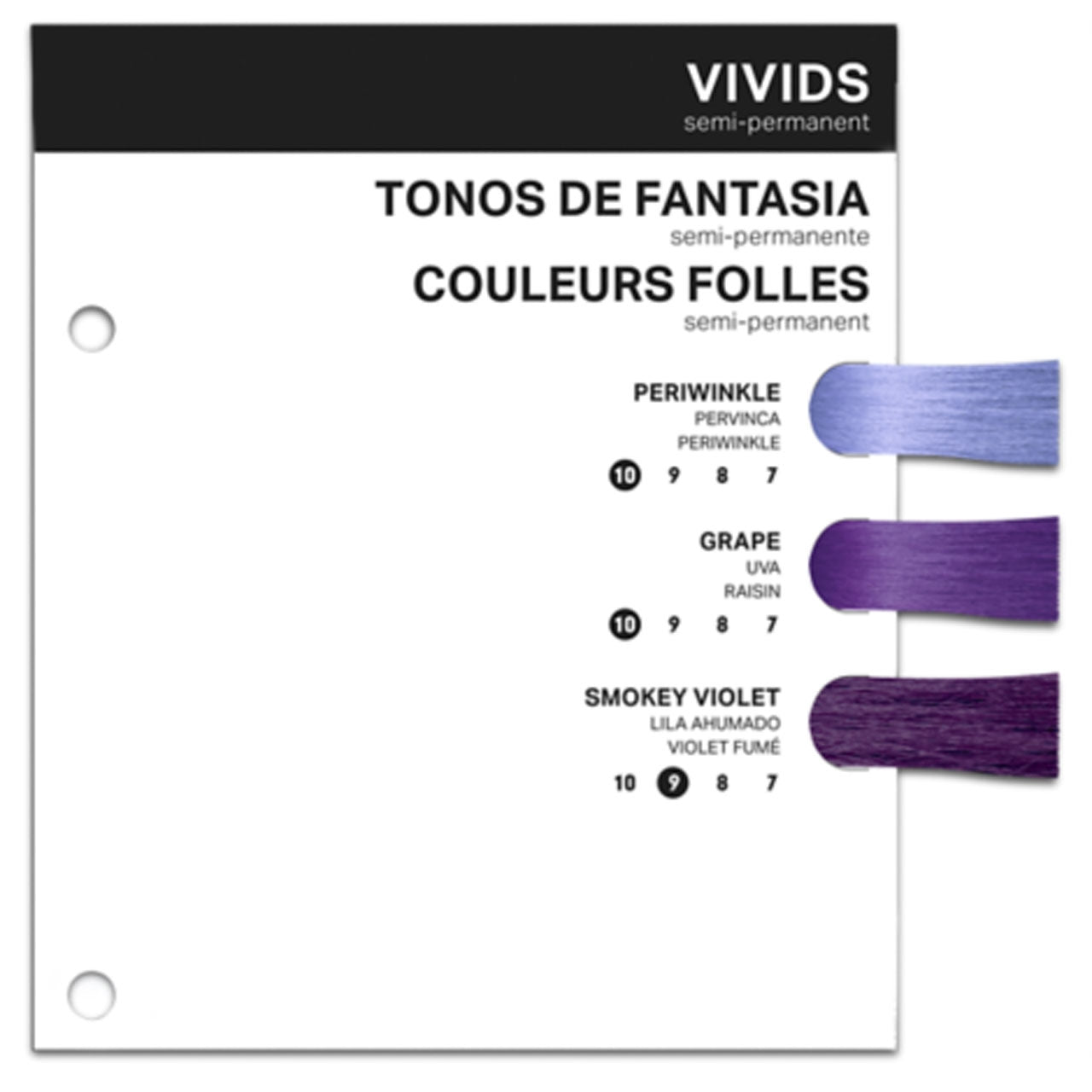 PRAVANA Swatch Book Insert Vivid Purple Series